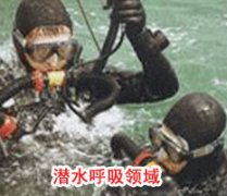 成功性福宝草莓视频下载